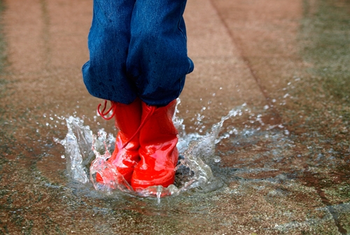 You can have fun in Sydney even when it rains.