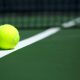 Tennis Ball on Tennis court near The Macleay